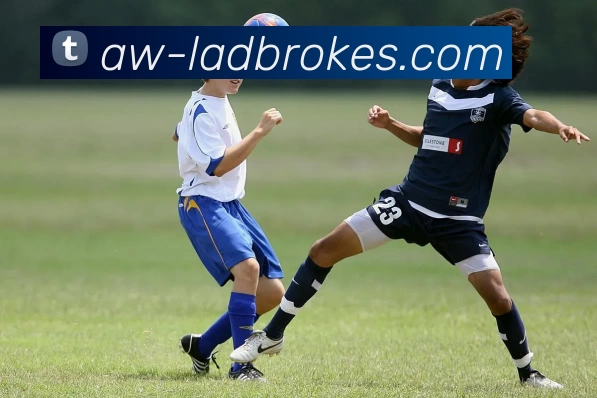 App Interface Preview